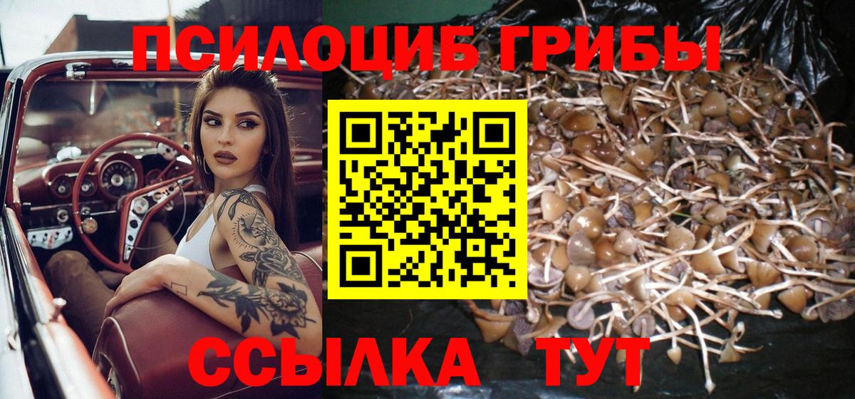 Псилоцибиновые грибы Magic Shrooms  Вход с VPN  Новочебоксарск  Галлюциногенные грибы GOLDEN TEACHER 